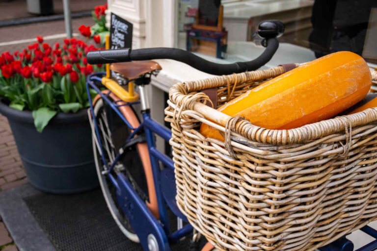 Nederlands kaaswiel in mand van een fiets met rode tulpen op de achtergrond